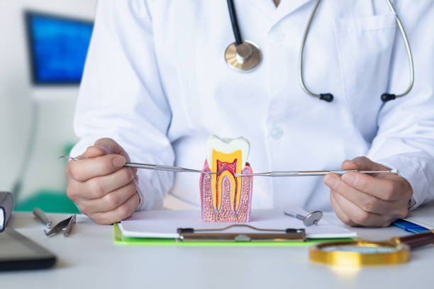 Best Dentist for Tooth Abscess  in Vadnais Heights, MN